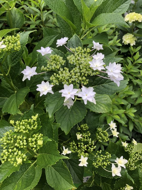 つっかえまくる朗読もどき。