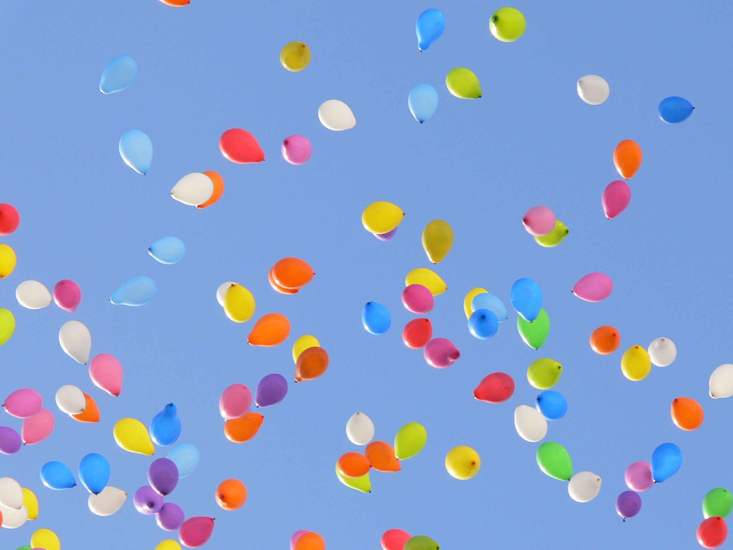 カニノコウラ🦀