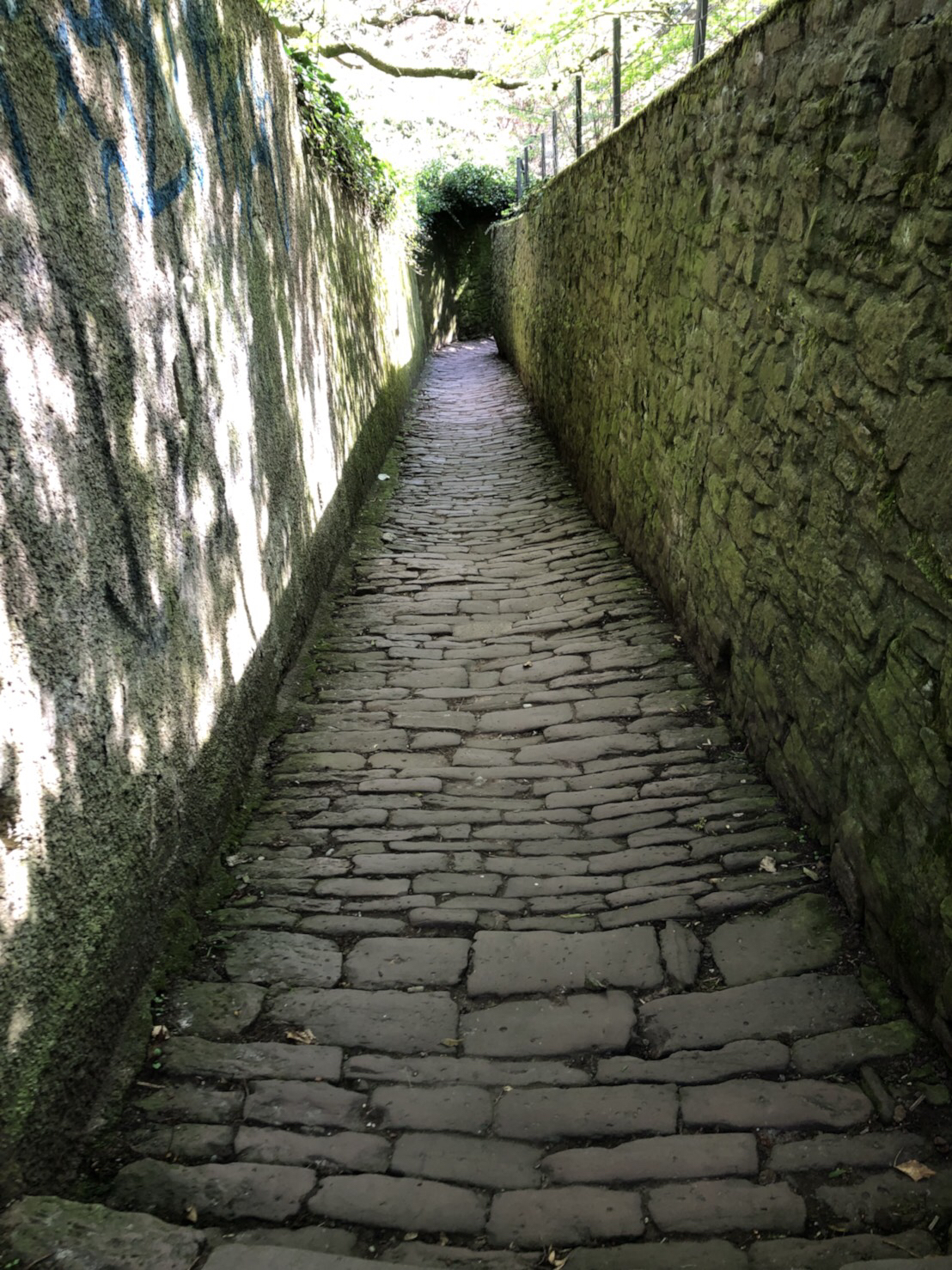 マシュマロお返事&木手凛語り