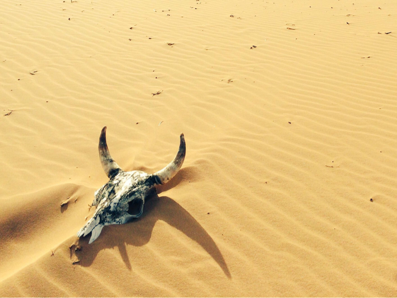 映画の話とマシュマロお返事