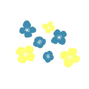 ﾀﾅｶﾗﾊﾞﾀ-ﾓﾁ