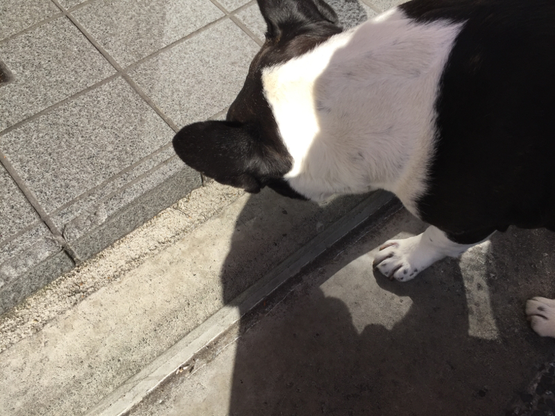 #63 言葉が出てこない事とお金が戻ってくる話