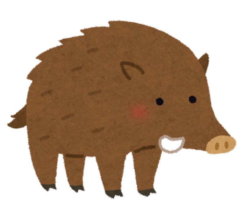 #109 日本のストーリー 第2話(イノシシ)