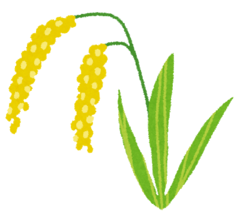 #111 日本のストーリー 第3話 (稲作)