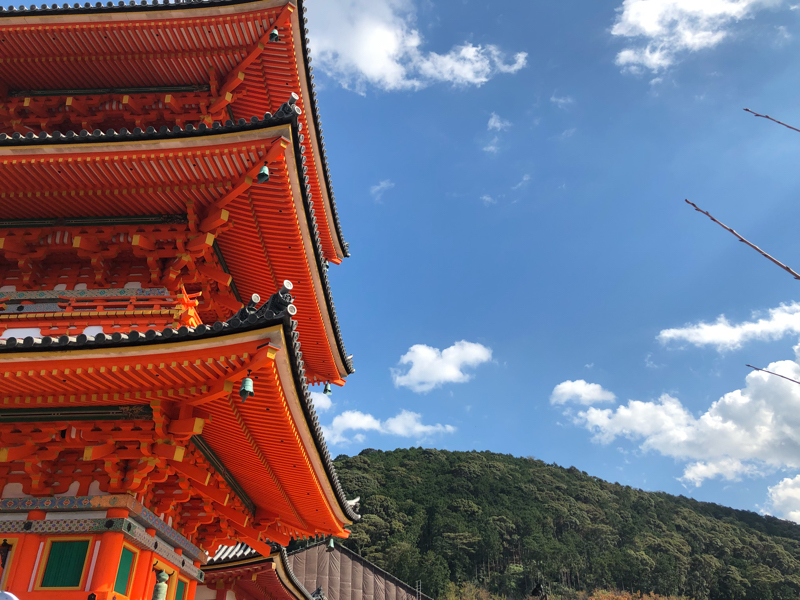 旅行に行ったんだ