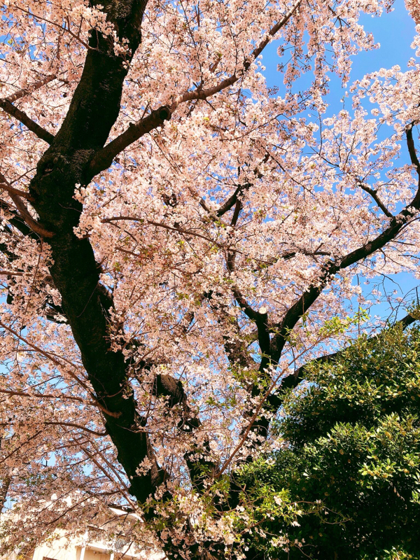 月曜日が嫌なことについて