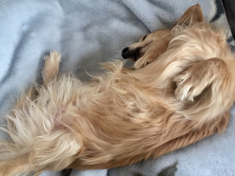 眠いことについて