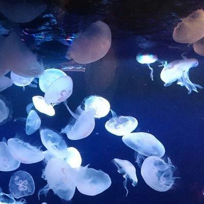 ゆるっとトーク