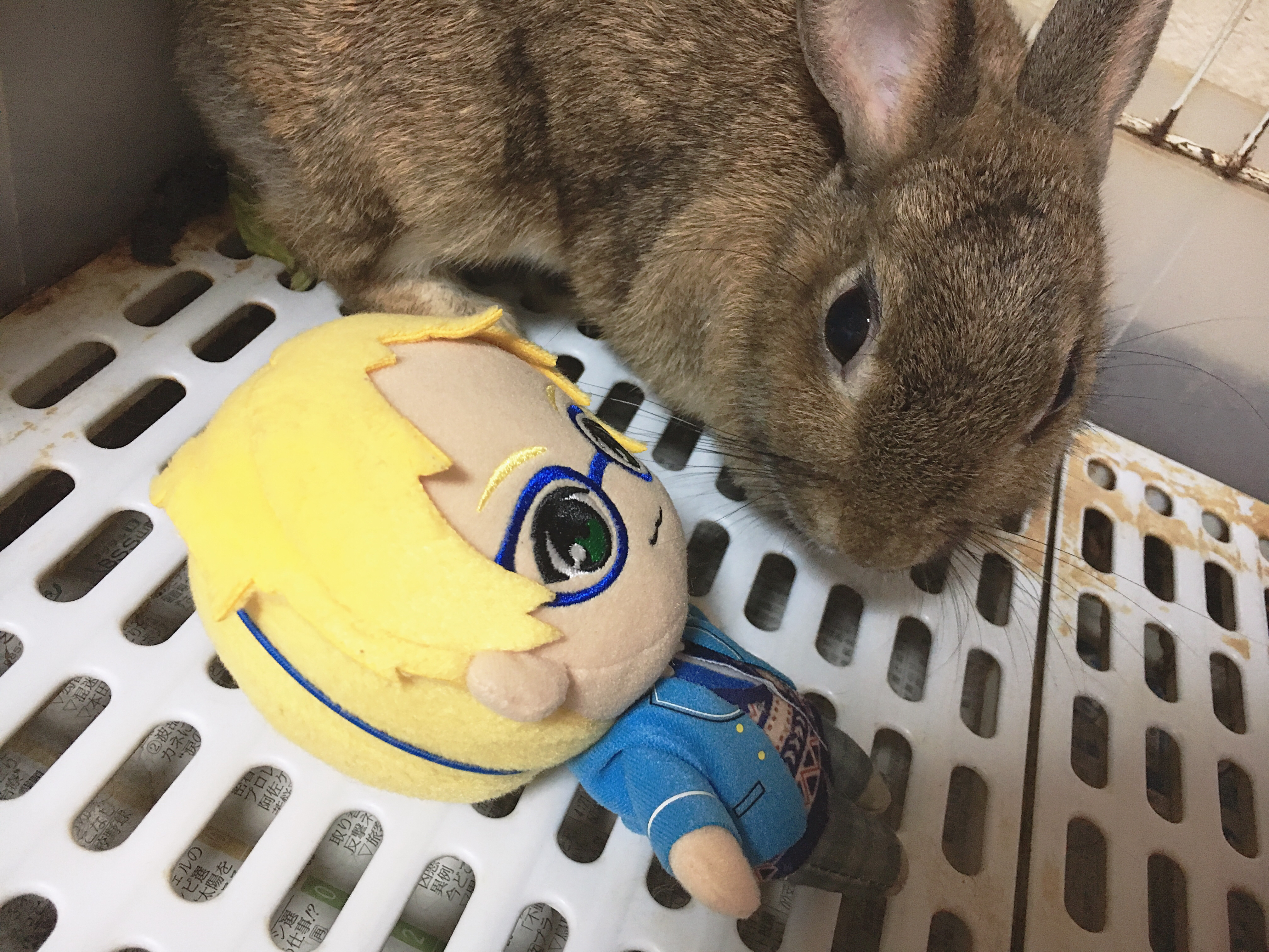 まこさんぽのゲストについて