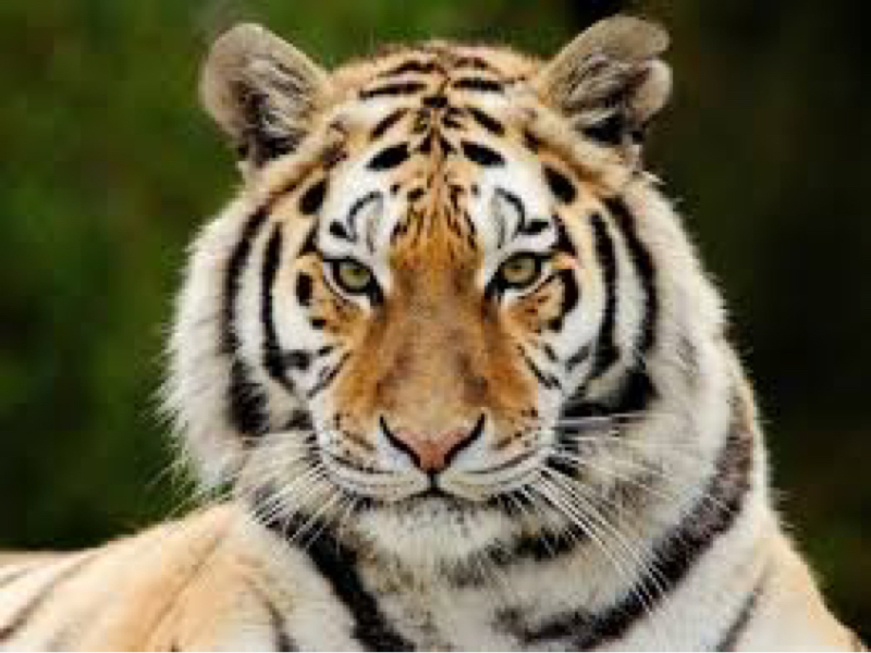 道流と仙台と欲望