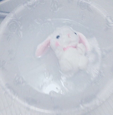 OLららこ ラジオという選択