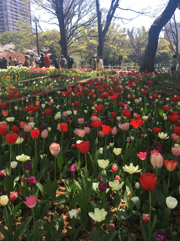 寝る前のひづらぢ☆羊が61匹