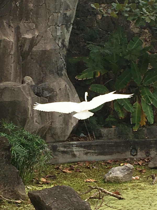 寝る前のひづらぢ☆羊が66匹