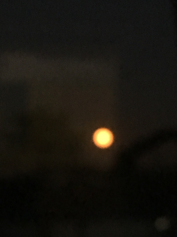 寝る前のひづらぢ☆羊が78匹