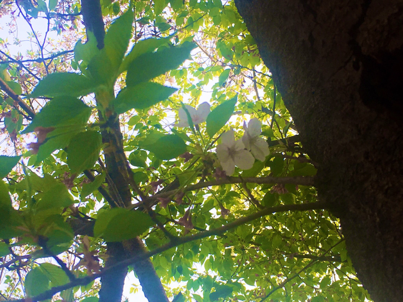 寝る前のひづらぢ☆羊が93匹