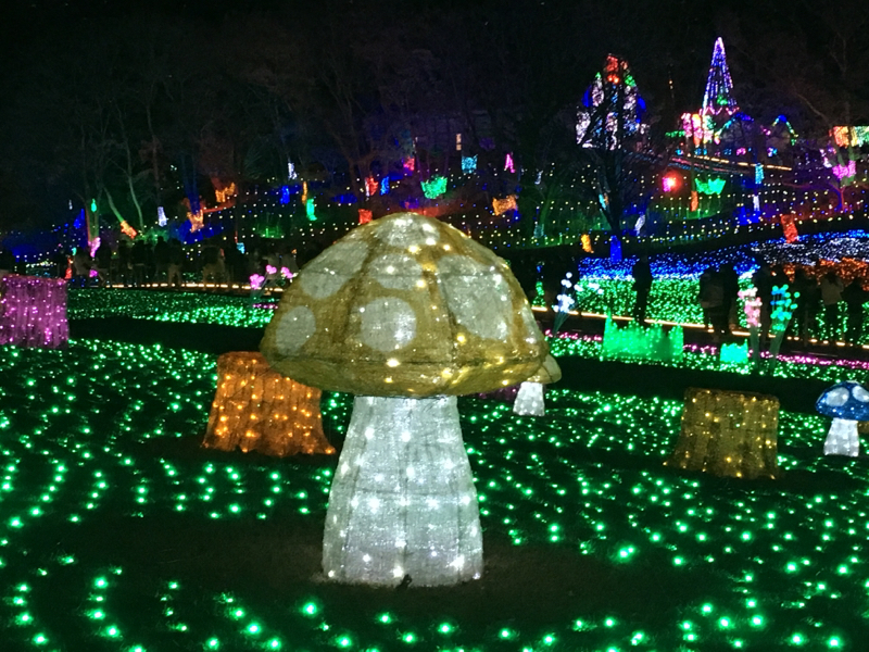 寝る前のひづらぢ☆羊が94匹