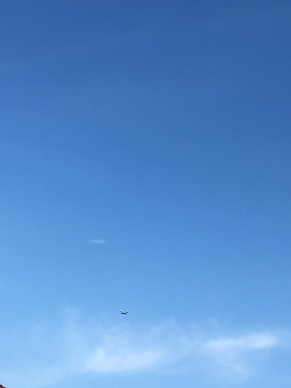 寝る前のひづらぢ☆羊が119匹