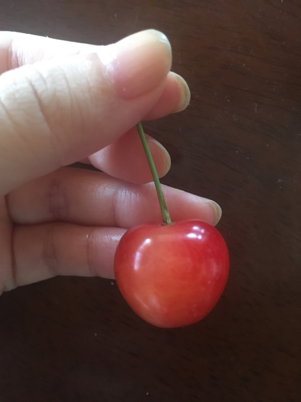 寝る前のひづらぢ☆羊が162匹