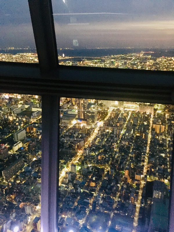 寝る前のひづらぢ☆羊が176匹