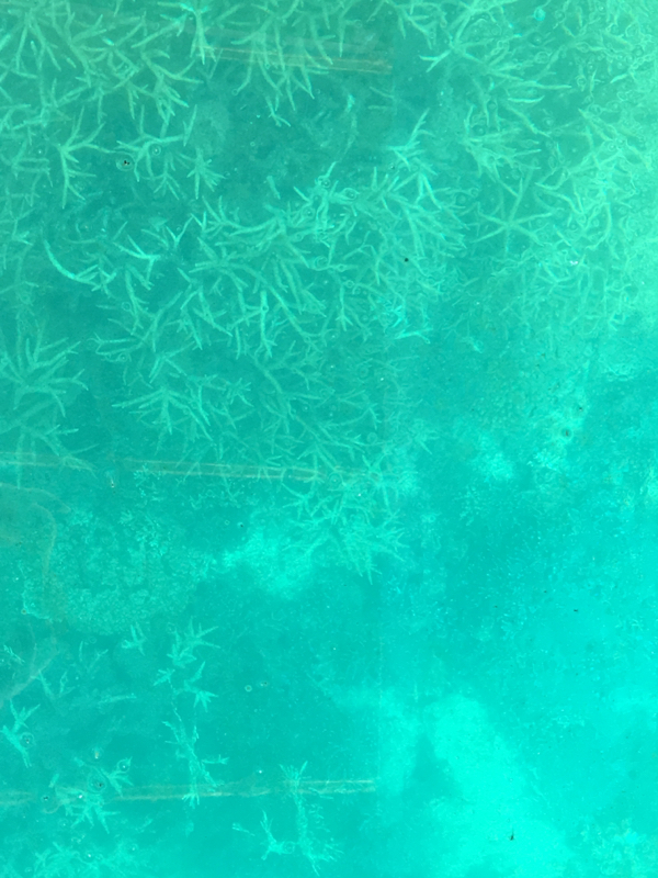 寝る前のひづらぢ☆羊が181匹