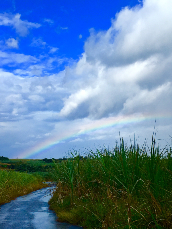 寝る前のひづらぢ☆羊が6匹