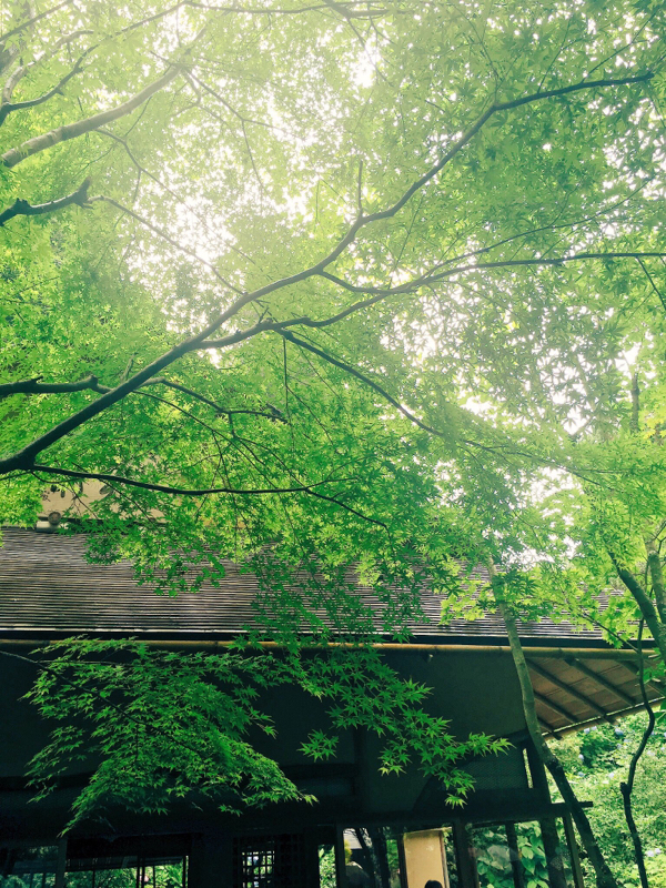 寝る前のひづらぢ☆羊が28匹