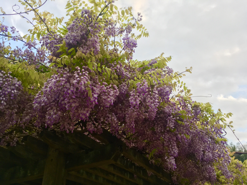 寝る前のひづらぢ☆羊が194匹