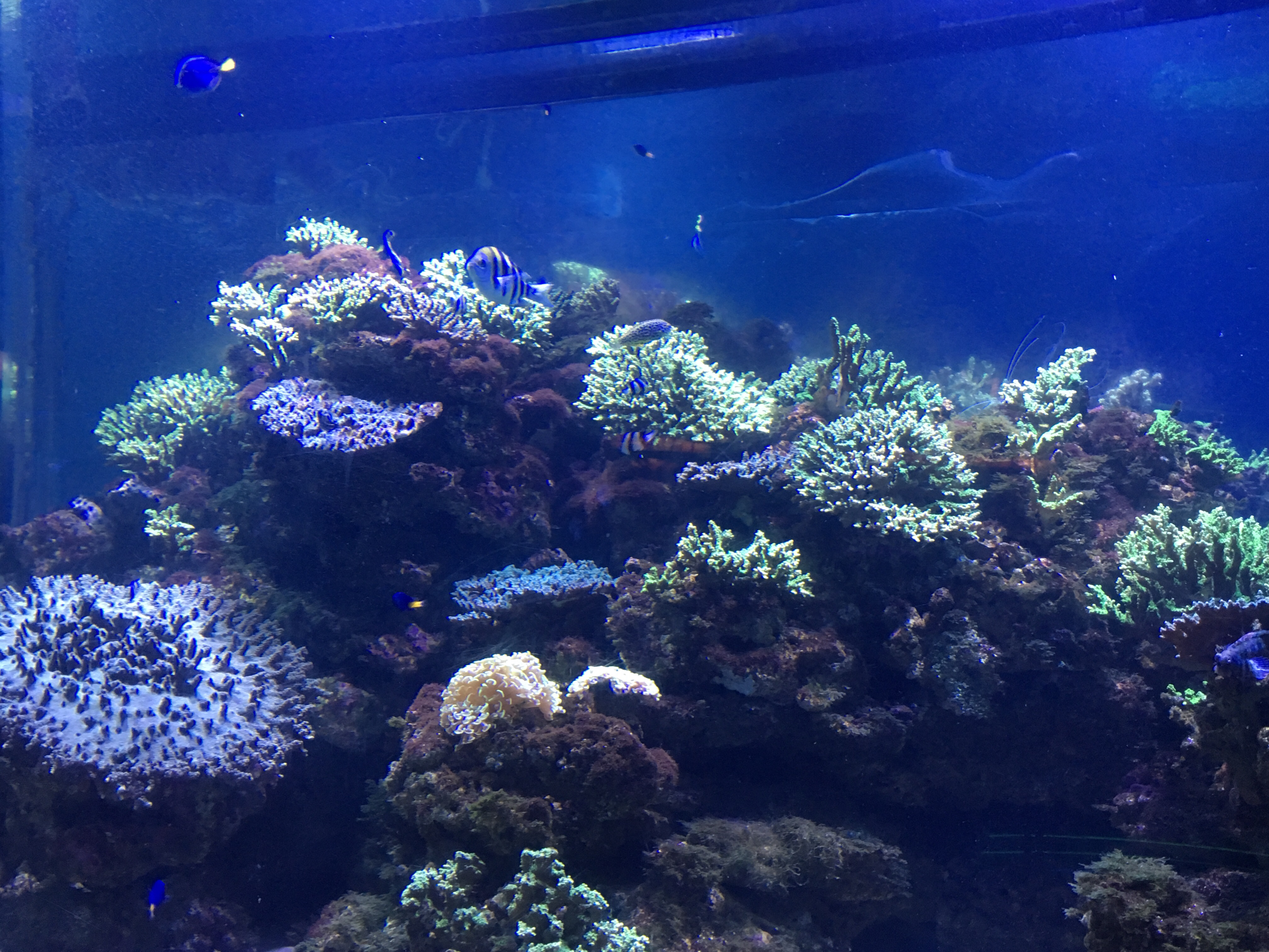 第１回なろう系面白いよね