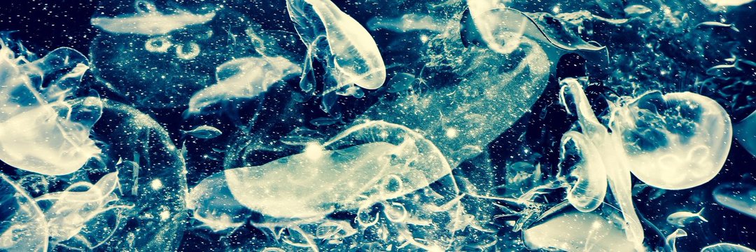 わたぬきトーク2