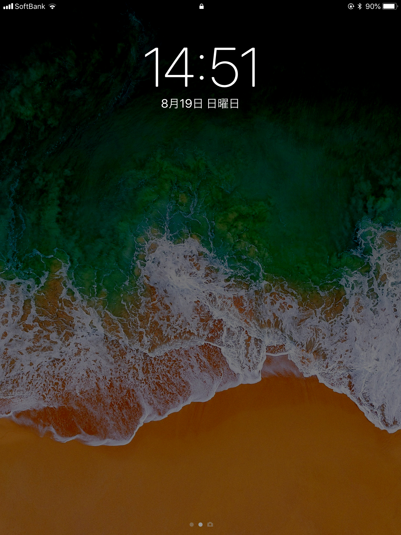 始めてやりました