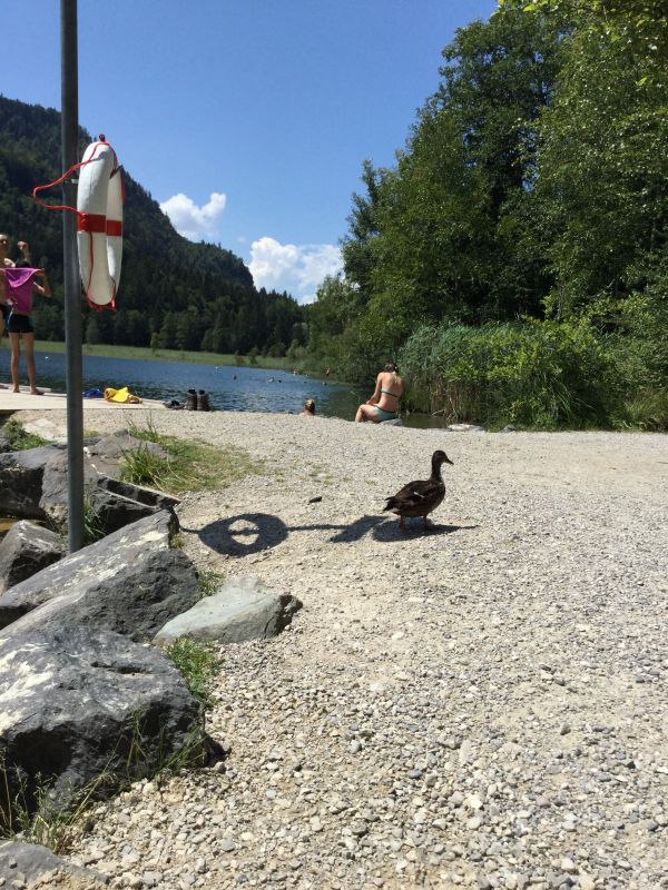 01, ぐだぐだ自己紹介