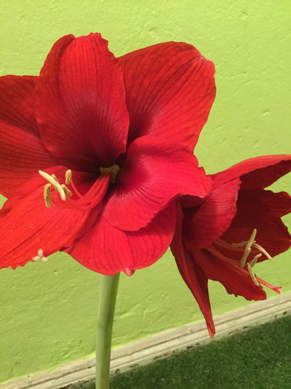 15, 【ご報告】セクハラ男、解雇！