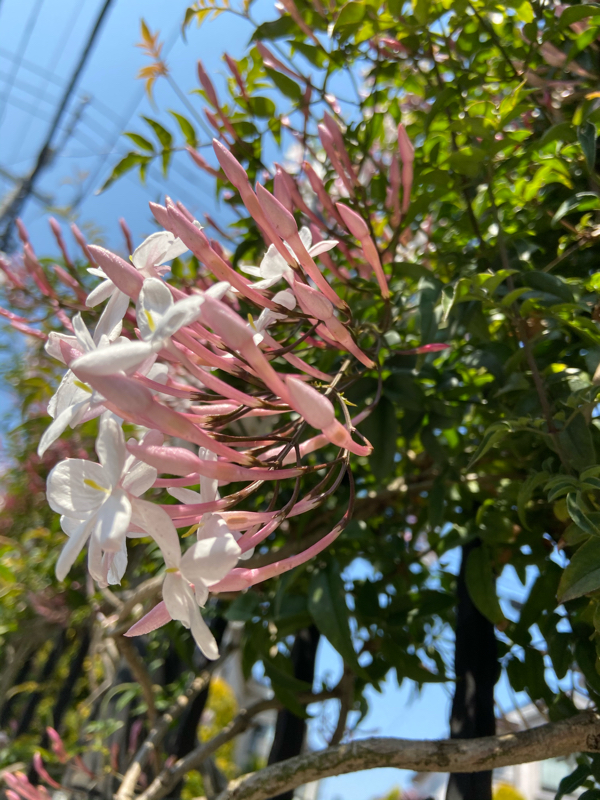 8周年記念ラジオその4（終わり）