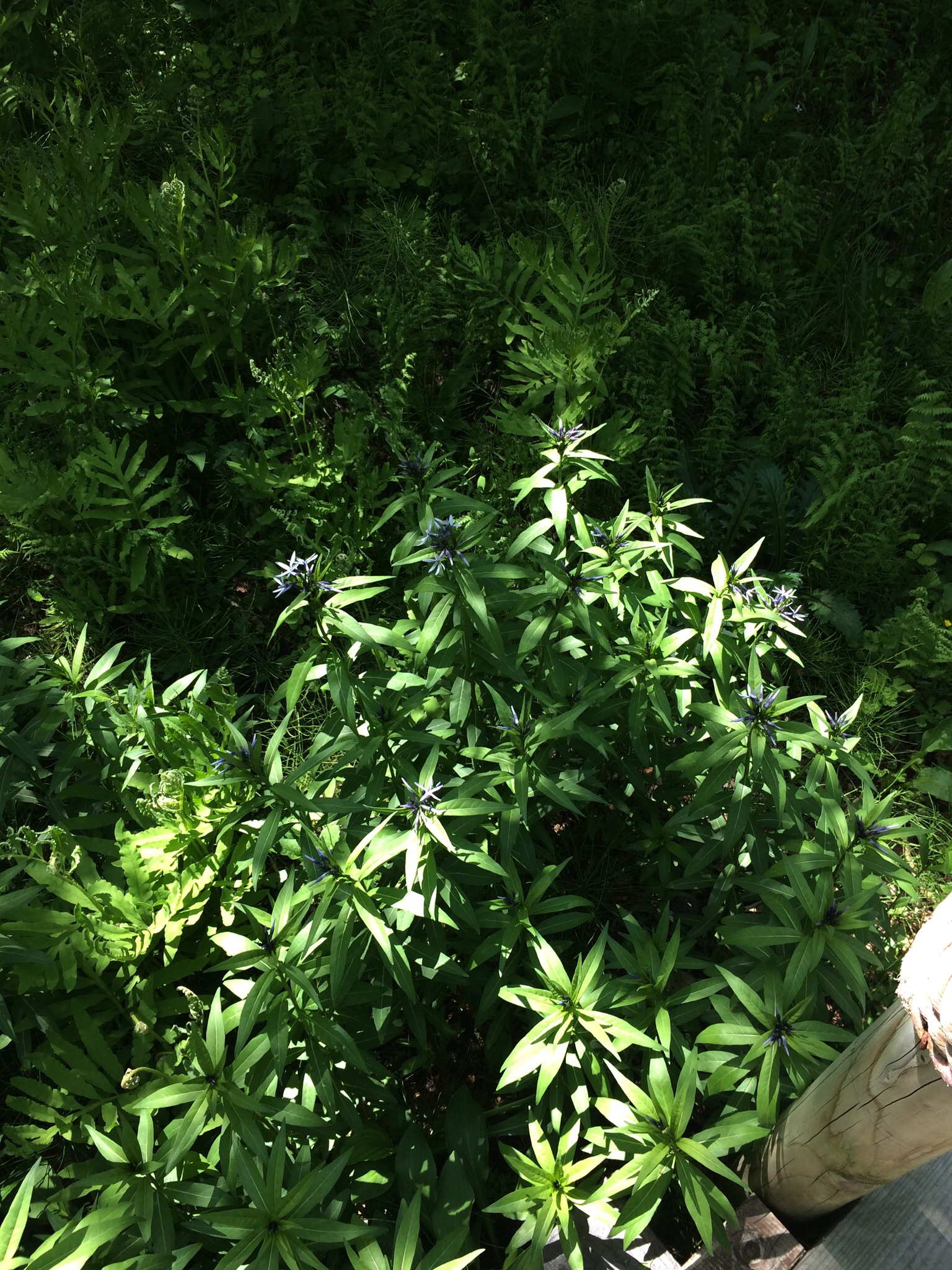 続・同人誌装丁の話だった。