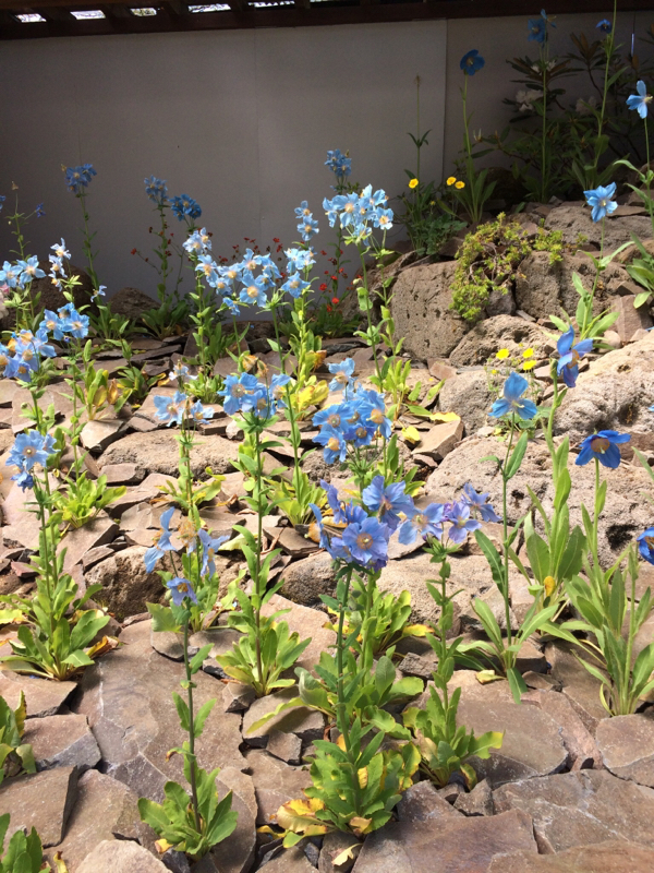 ネタバレしながらバックトゥザフューチャーの話2