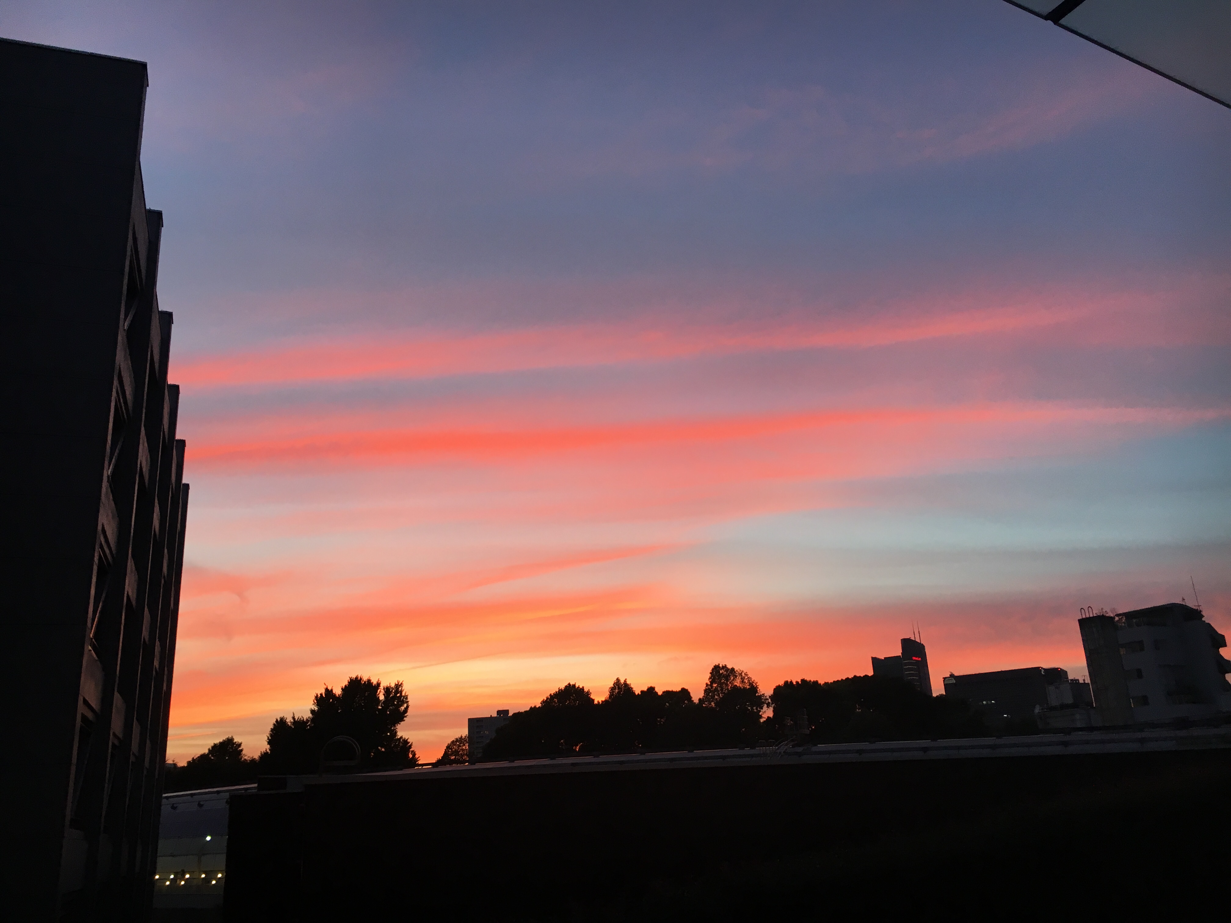 1.自己紹介をしようと思ったら脱線した