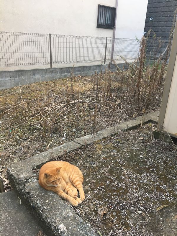 お便りお返事①