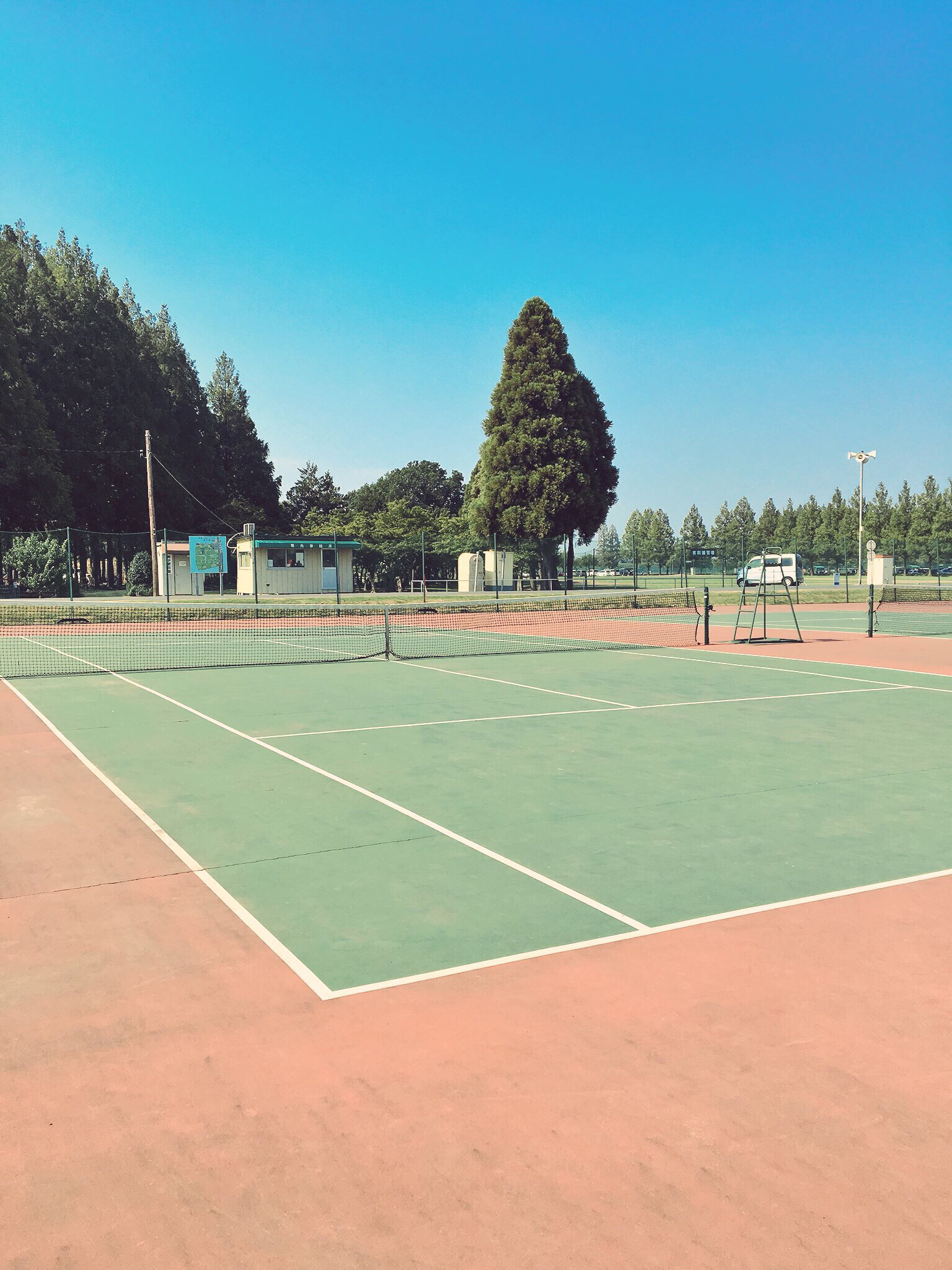 おまんは俺とダブルスが組めるんか問題