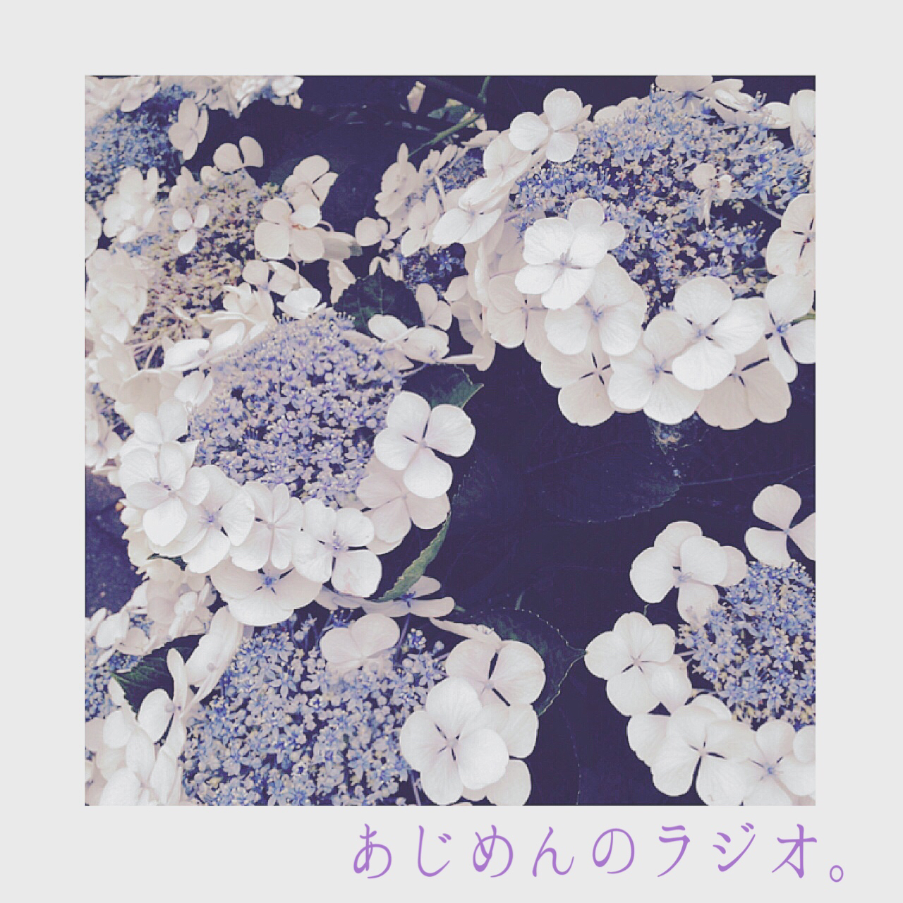 あじめんのラジオ。