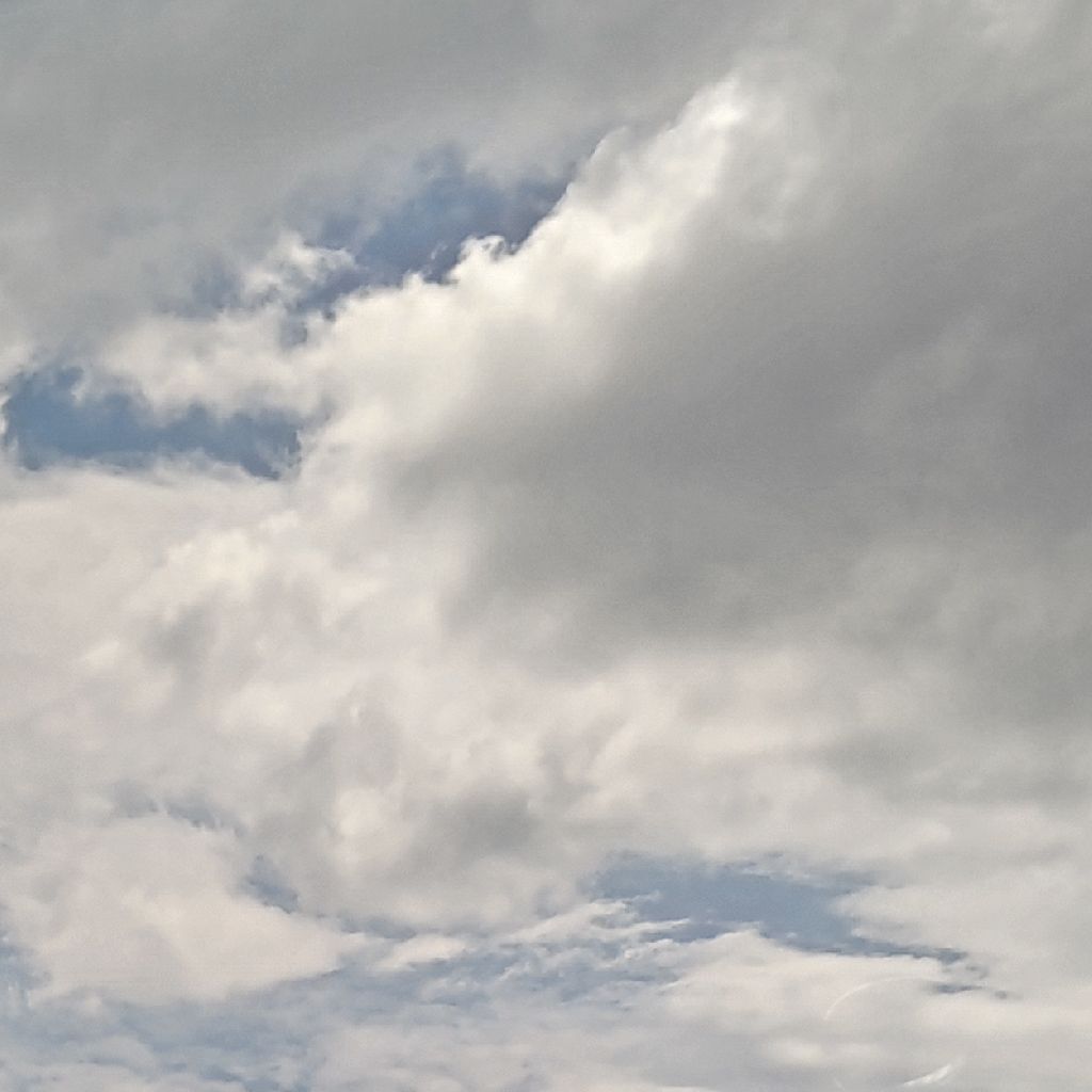 あんこう祭りの日のあの事件………いちガルパンファンが思うことを話してみた。