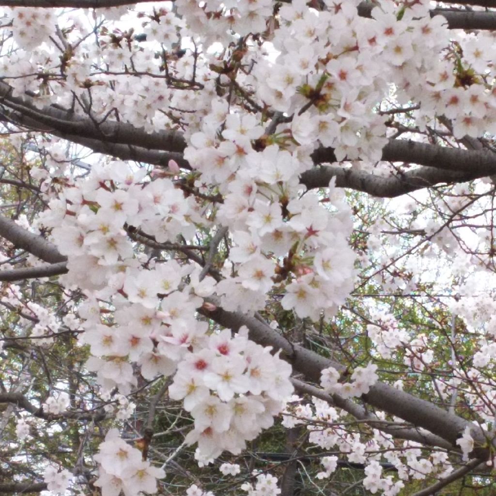 お世話になってる。うみがめさんへ。(￣▽￣)
