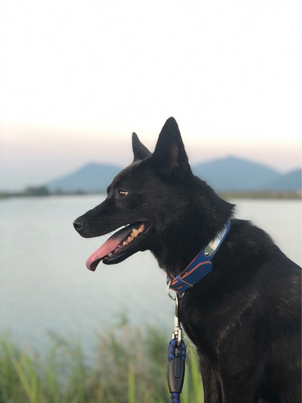 情緒グシャグシャラングドシャオタク Radiotalk ラジオトーク