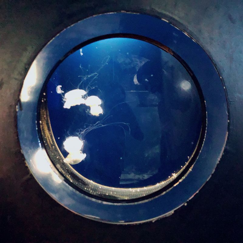 私の遺書ドットコム