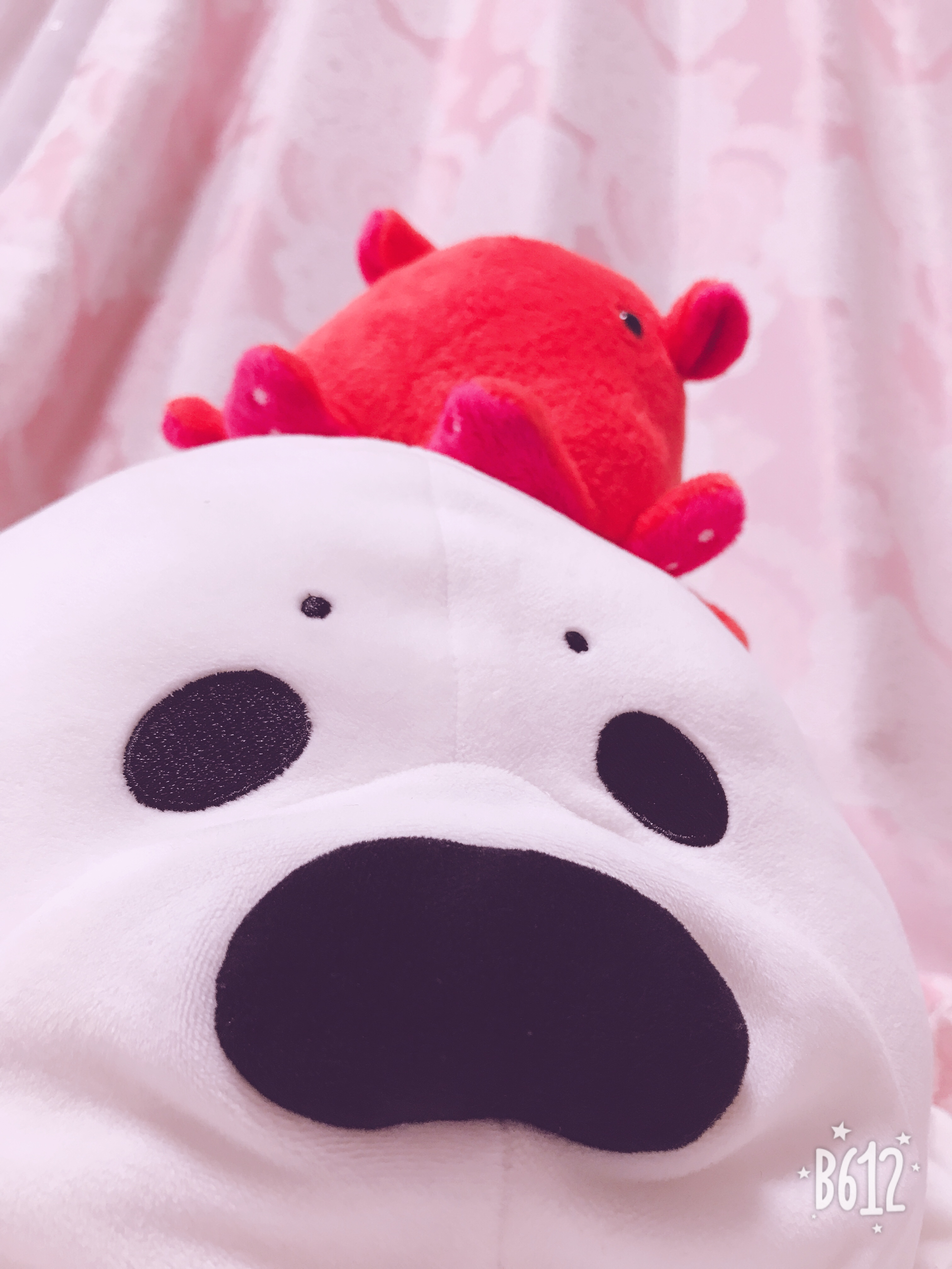 あざらしのめんだこ