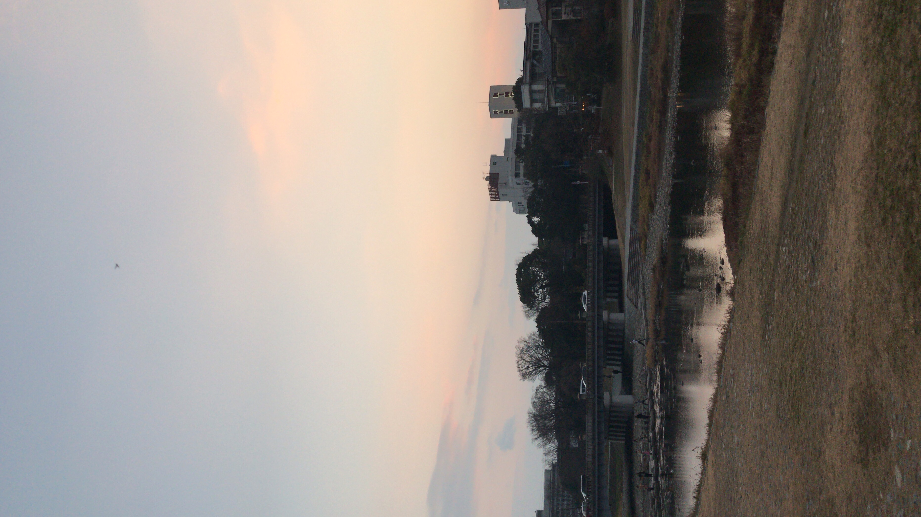 他己紹介② @アマゾンの奥地