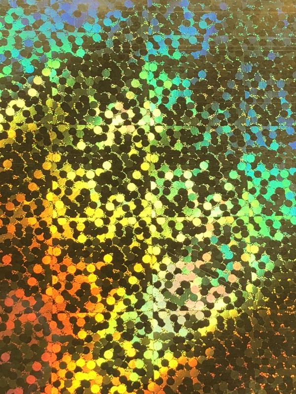 今日出会った杉本彩とブスの話