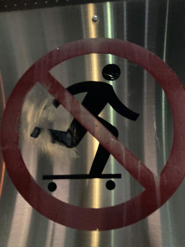 魔法学校について