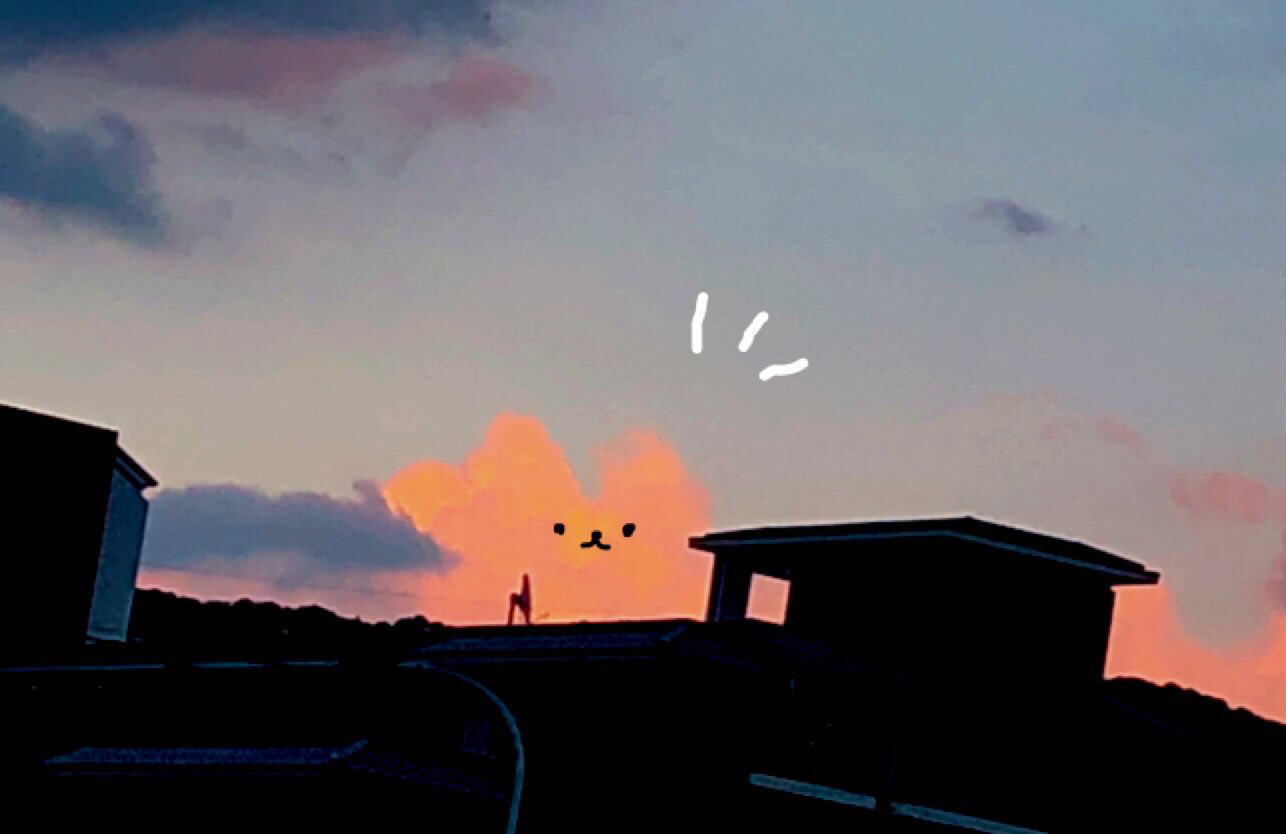 あんずの独り言