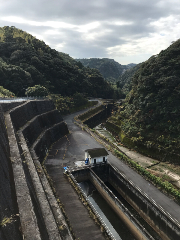 鯛がサツマイモになったぞ！🐟→🍠