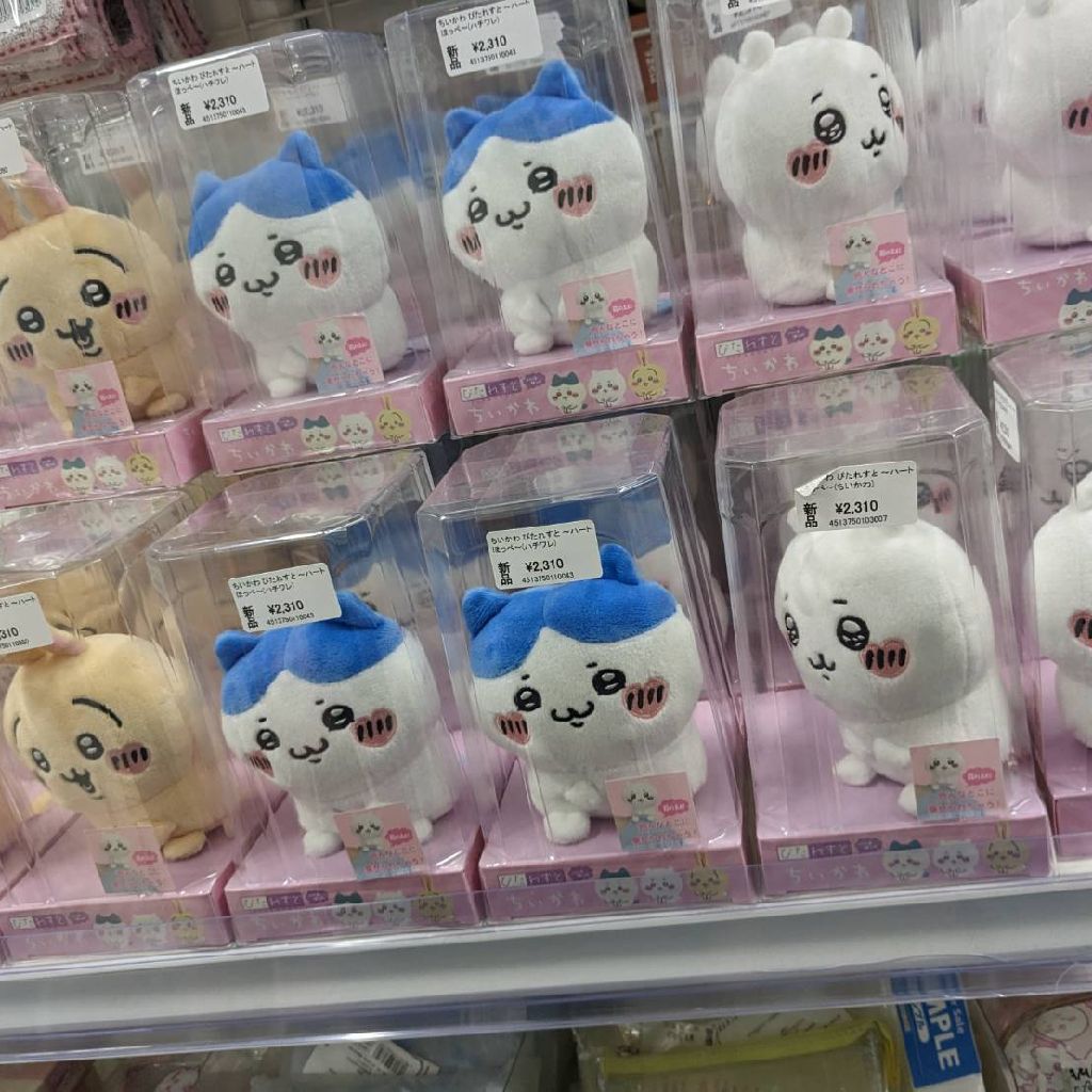 よつえすAANN　勝手に前夜祭②